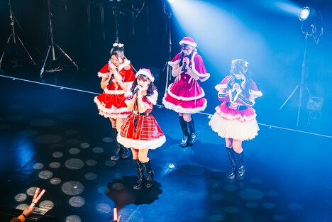 サンタクロースのコスプレをした豆柴の大群都内某所 a.k.a. MONSTERIDOL。