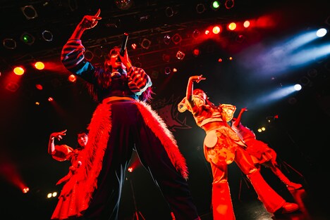 豆柴の大群都内某所 a.k.a. MONSTERIDOL