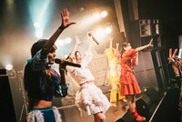 豆柴の大群都内某所 a.k.a. MONSTERIDOL