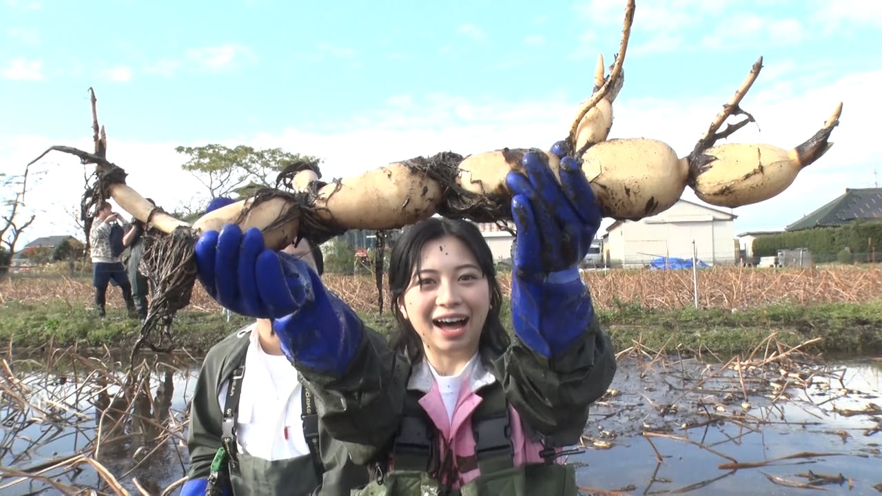 桜田ひより - FRUITS ZIPPERが大晦日「ゴチになります！SP」に登場