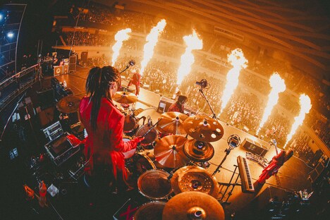 「DEZERT SPECIAL ONEMAN LIVE at NIPPON BUDOKAN『君の心臓を触る』」の様子。（撮影：西槇太一）