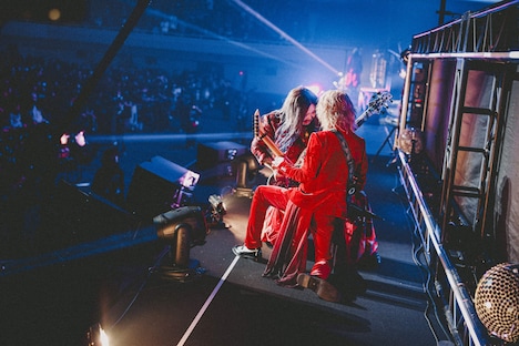 「DEZERT SPECIAL ONEMAN LIVE at NIPPON BUDOKAN『君の心臓を触る』」の様子。（撮影：西槇太一）