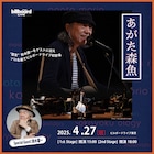 あがた森魚がソロ名義初のビルボードライブ公演、盟友の鈴木慶一がゲスト出演