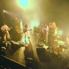 HomecomingsがZepp新宿で鳴らした美しき歪み、バンドの現在地示した全国ツアー東京公演