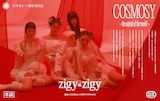 cosmosy「zigy=zigy」ビジュアル