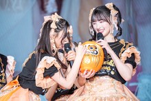 だるまに目入れをする杏ジュリア。