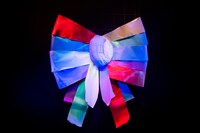 ステージ幕を飾る巨大なリボン。