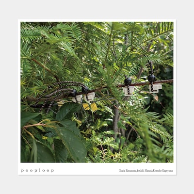 蓮沼執太「pooploop」ジャケット