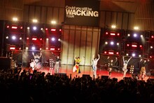 WACKシャッフルユニットによるBiS「STUPiD」披露時の様子。（Photo by sotobayashi kenta）