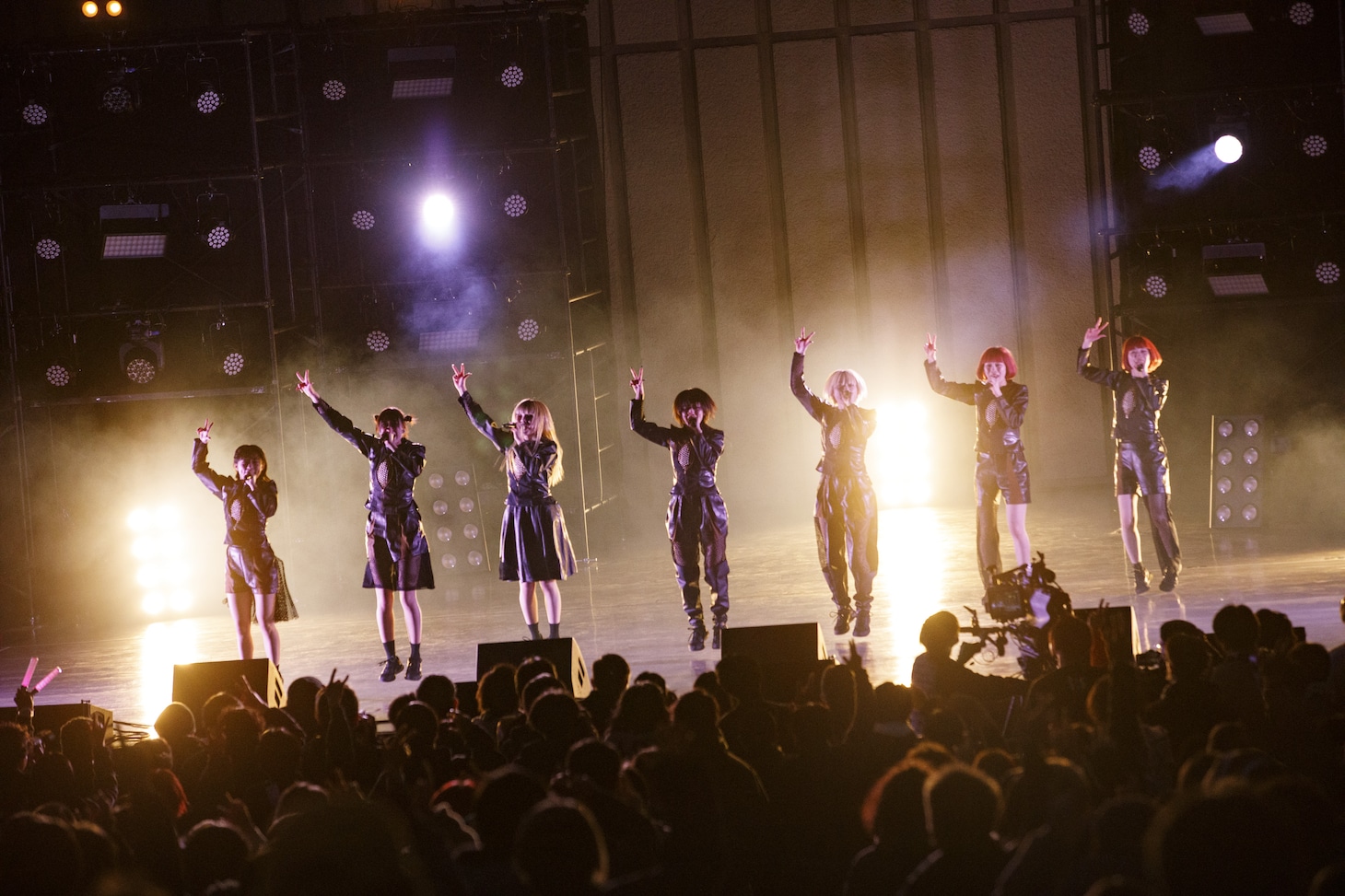 ASP（Photo by sotobayashi kenta）