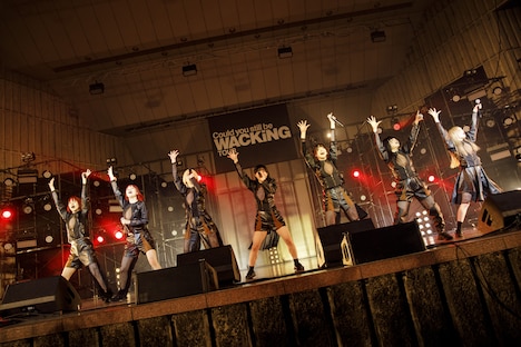 ASP（Photo by sotobayashi kenta）