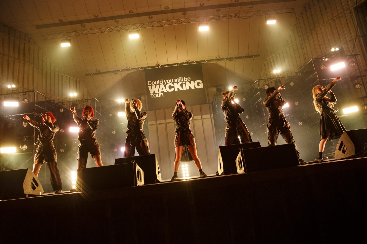 ASP（Photo by sotobayashi kenta）