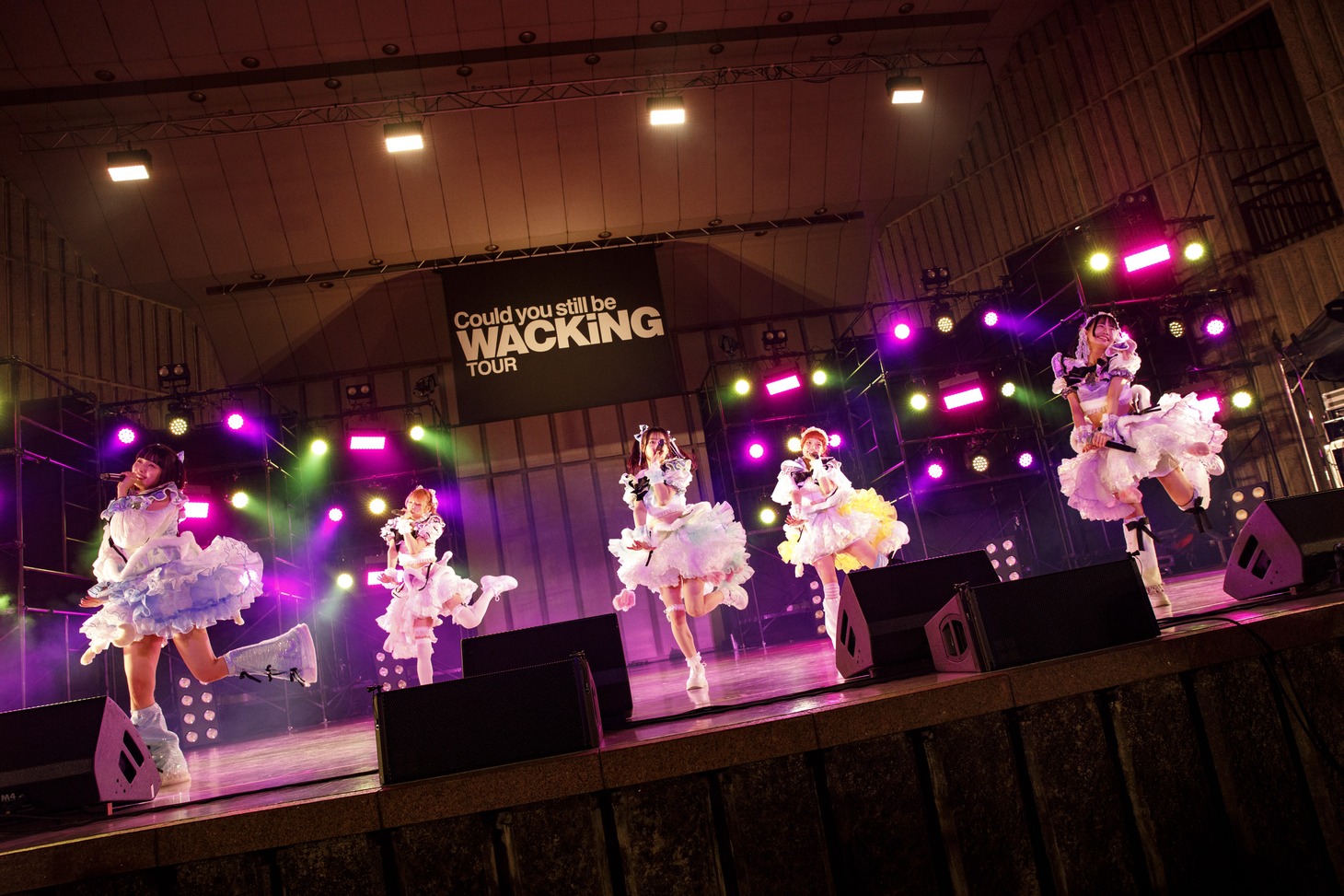KiSS KiSS（Photo by sotobayashi kenta）