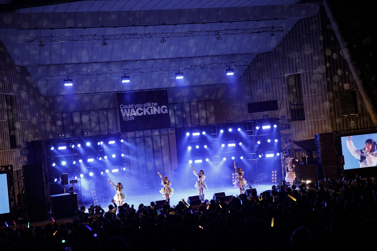 KiSS KiSS（Photo by sotobayashi kenta）