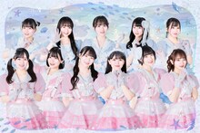 かすみ草とステラ