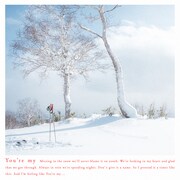 Pablo Haiku「you're my」配信ジャケット