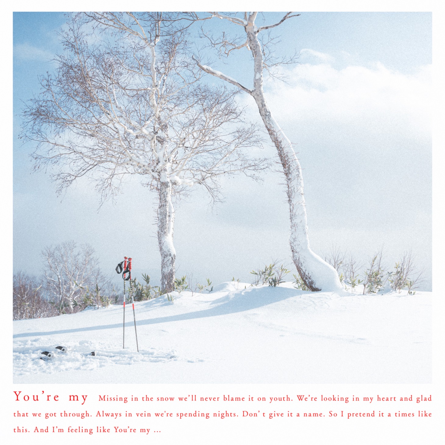 Pablo Haiku「you're my」配信ジャケット