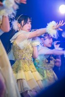 大白桃子（fishbowl）