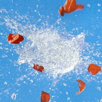 SUPER BEAVER「涙の正体」配信ジャケット