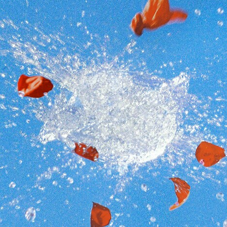 SUPER BEAVER「涙の正体」配信ジャケット