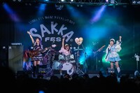 革命メロイック