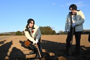 エレガントに大和芋を収穫する宮舘涼太と磯村勇斗。