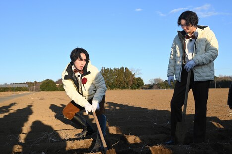 エレガントに大和芋を収穫する宮舘涼太と磯村勇斗。