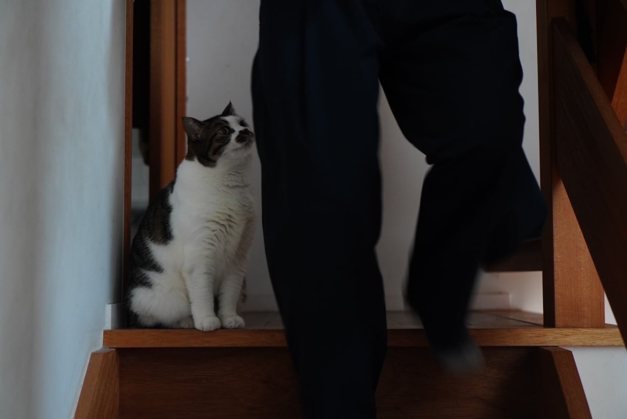 中学生の息子さんを見上げるコマさん。