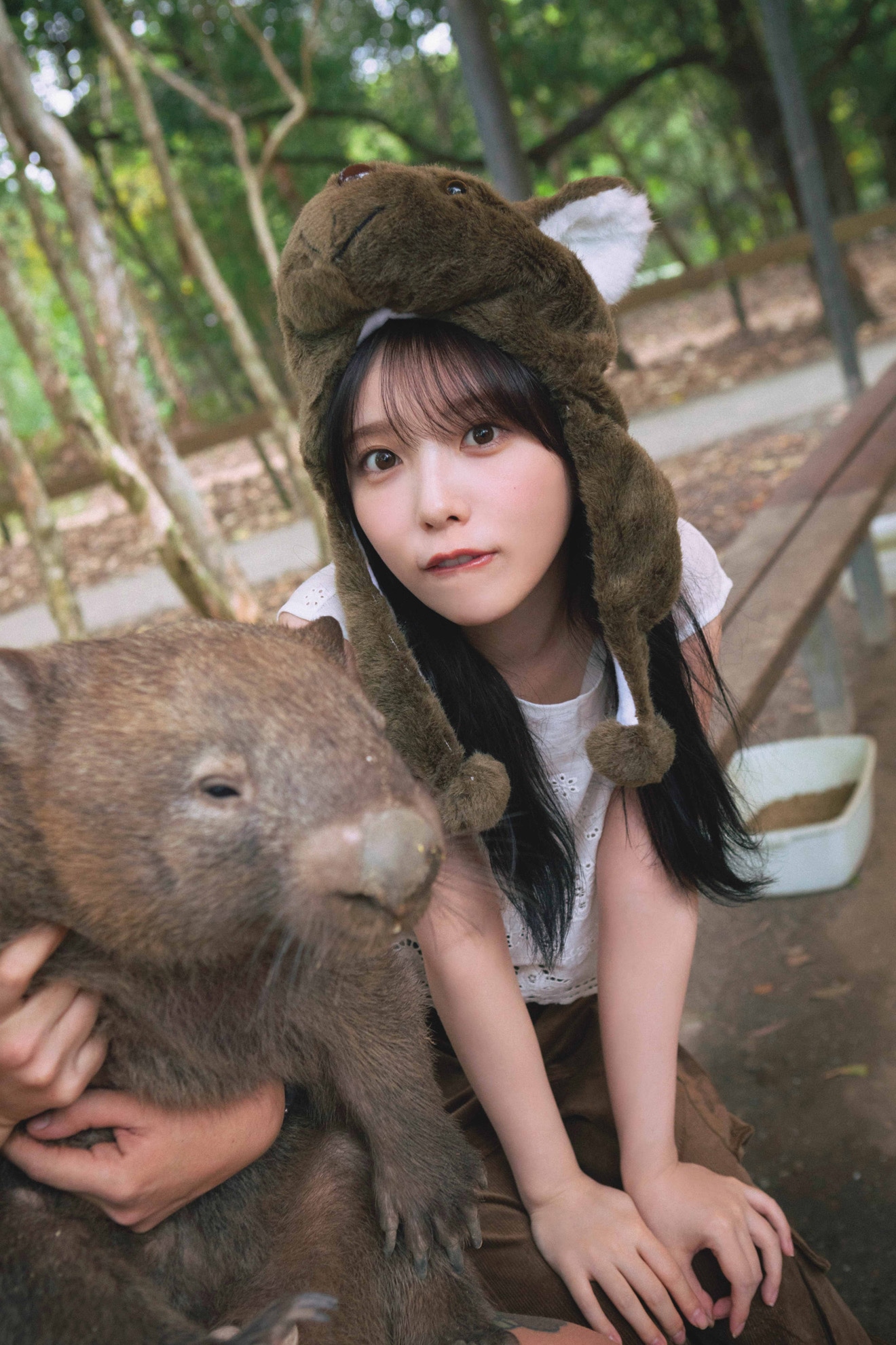 人気画像5位は「朝のプールに入っていく与田祐希を激写、限定特典に」より、ウォンバットとの対面を果たした与田祐希（乃木坂46）。（撮影：細居幸次郎）