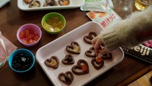 テレビCM「meiji♡FRUITS ZIPPERの手作りバレンタイン～楽しい時間を手作りしよう～」より。