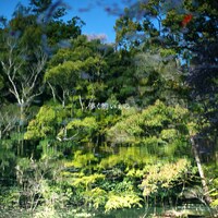 藤巻亮太「儚く脆いもの」通常盤ジャケット