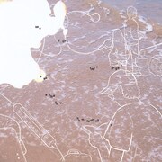 Homecomings「see you, frail angel. sea adore you.」アナログ盤ジャケット