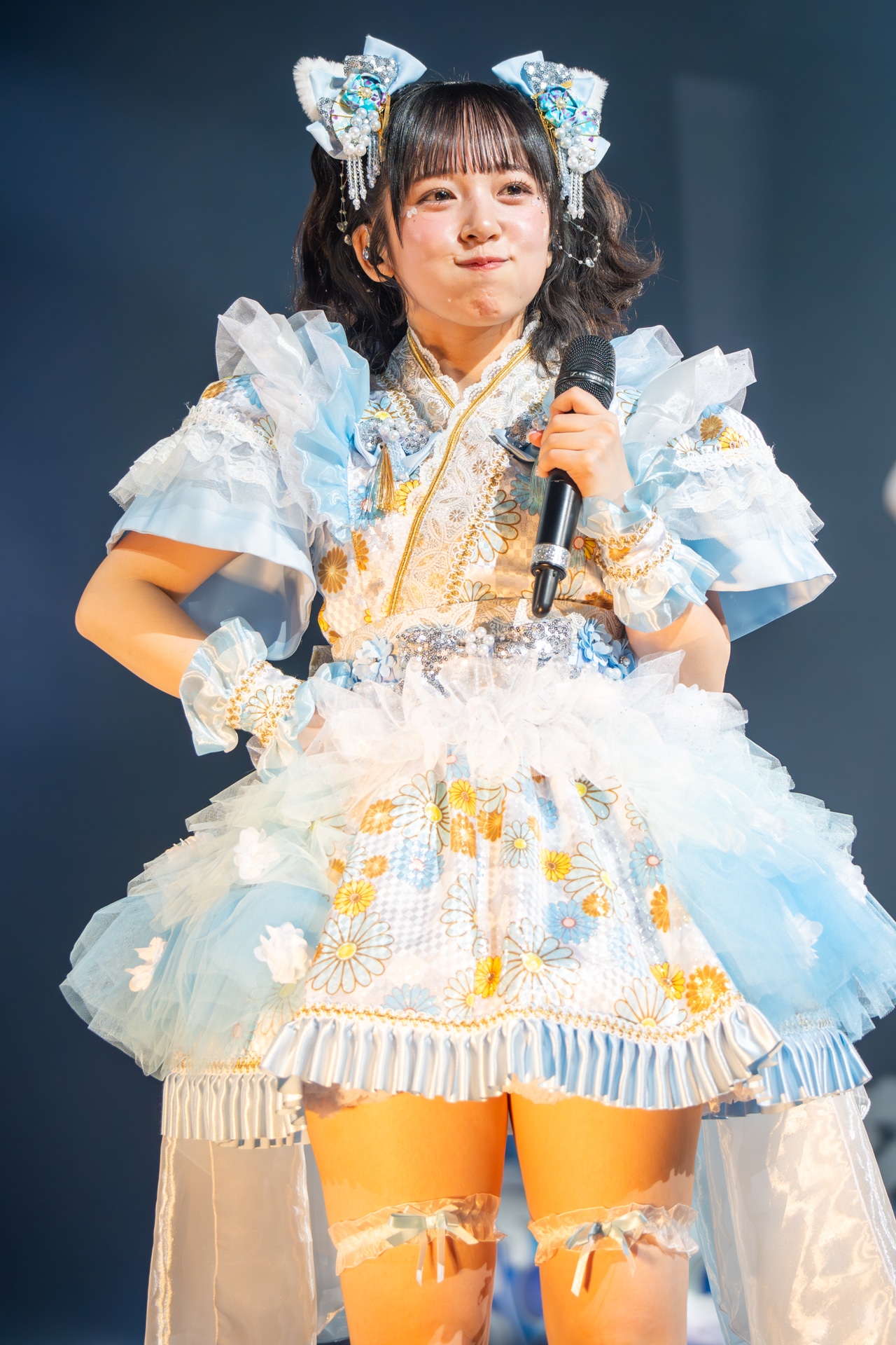 藤宮めい