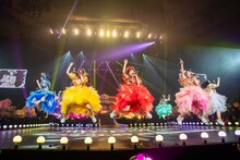 「Appare!やったれ武道館～絶対！玉ねぎいただきます！～」の様子。