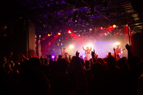 「The Biscats TOUR 2024～2025『ロカビリーナイト』」最終公演の模様。（撮影：山田久美子）