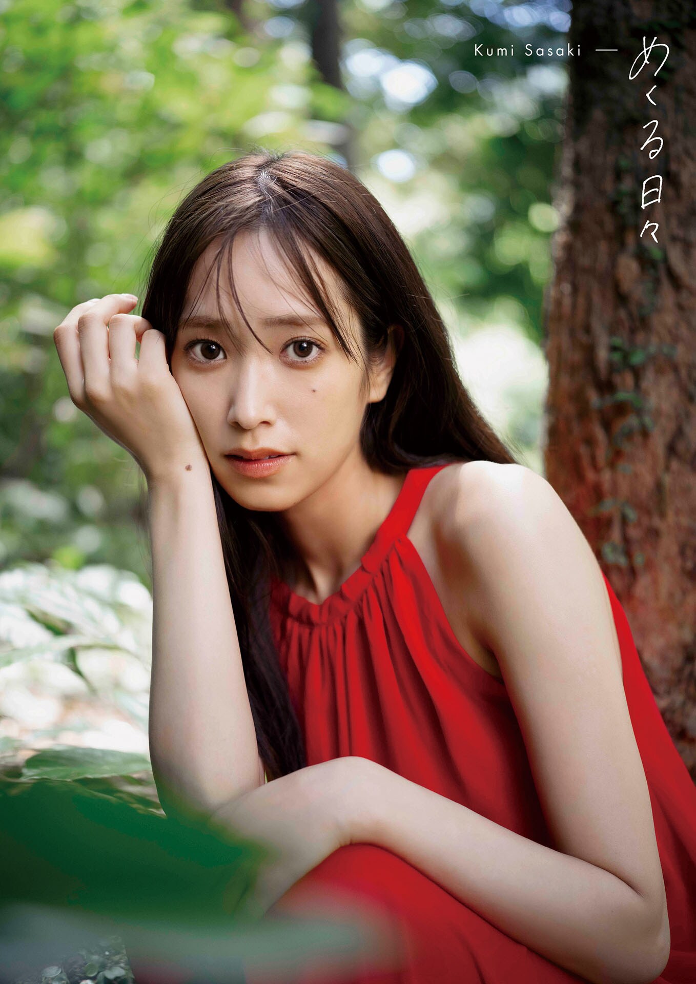 佐々木久美がサルに見守られながら撮影したカットも、写真集の表紙4種