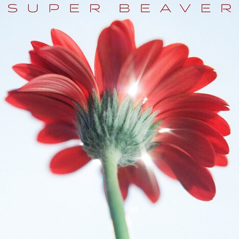 SUPER BEAVER「片想い / 涙の正体」ジャケット