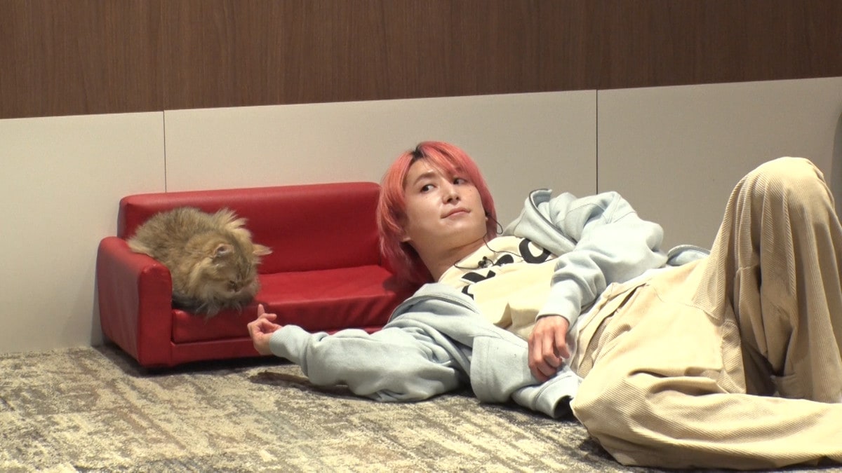 佐久間大介が猫をマッサージ、繊細なテクにスタジオから「マザー・佐久間」「これぞスーパーアイドル」