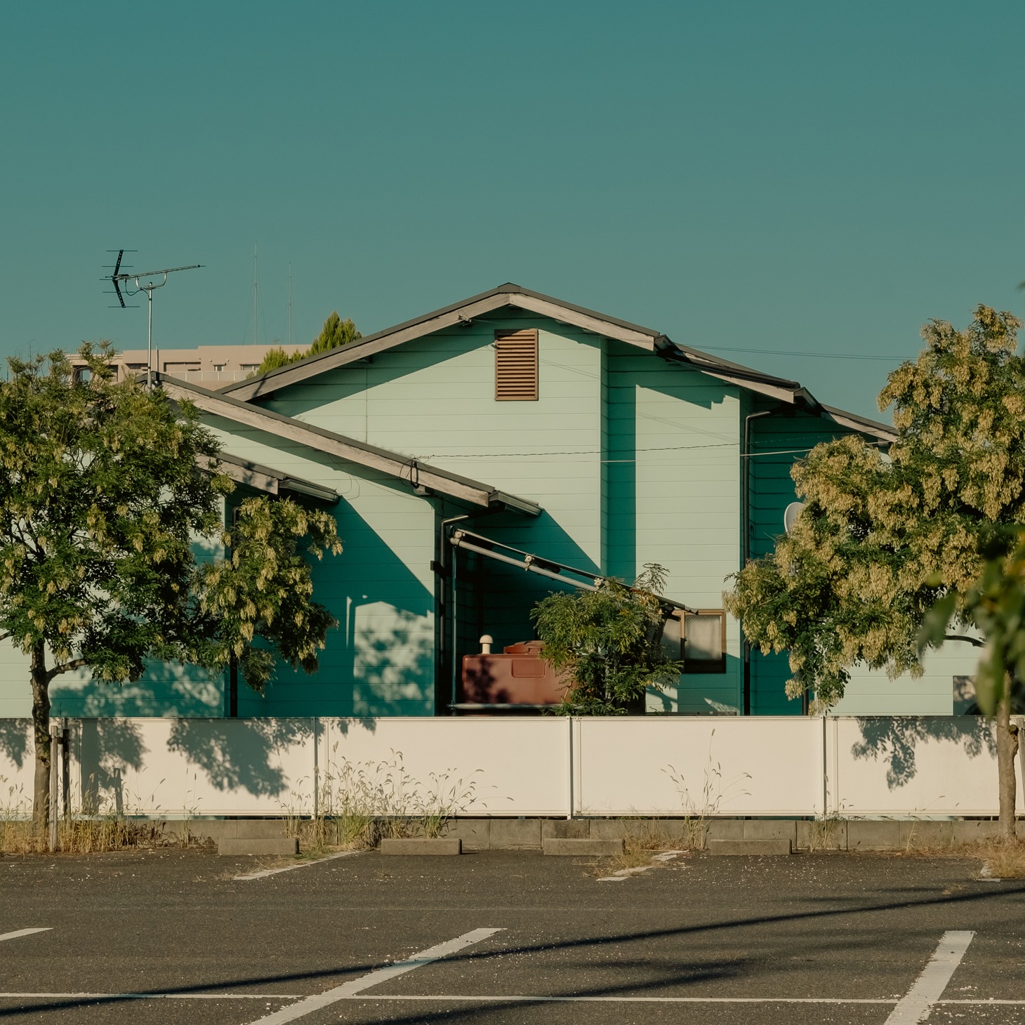さいわいな部屋「すこやかな寝台」ジャケット