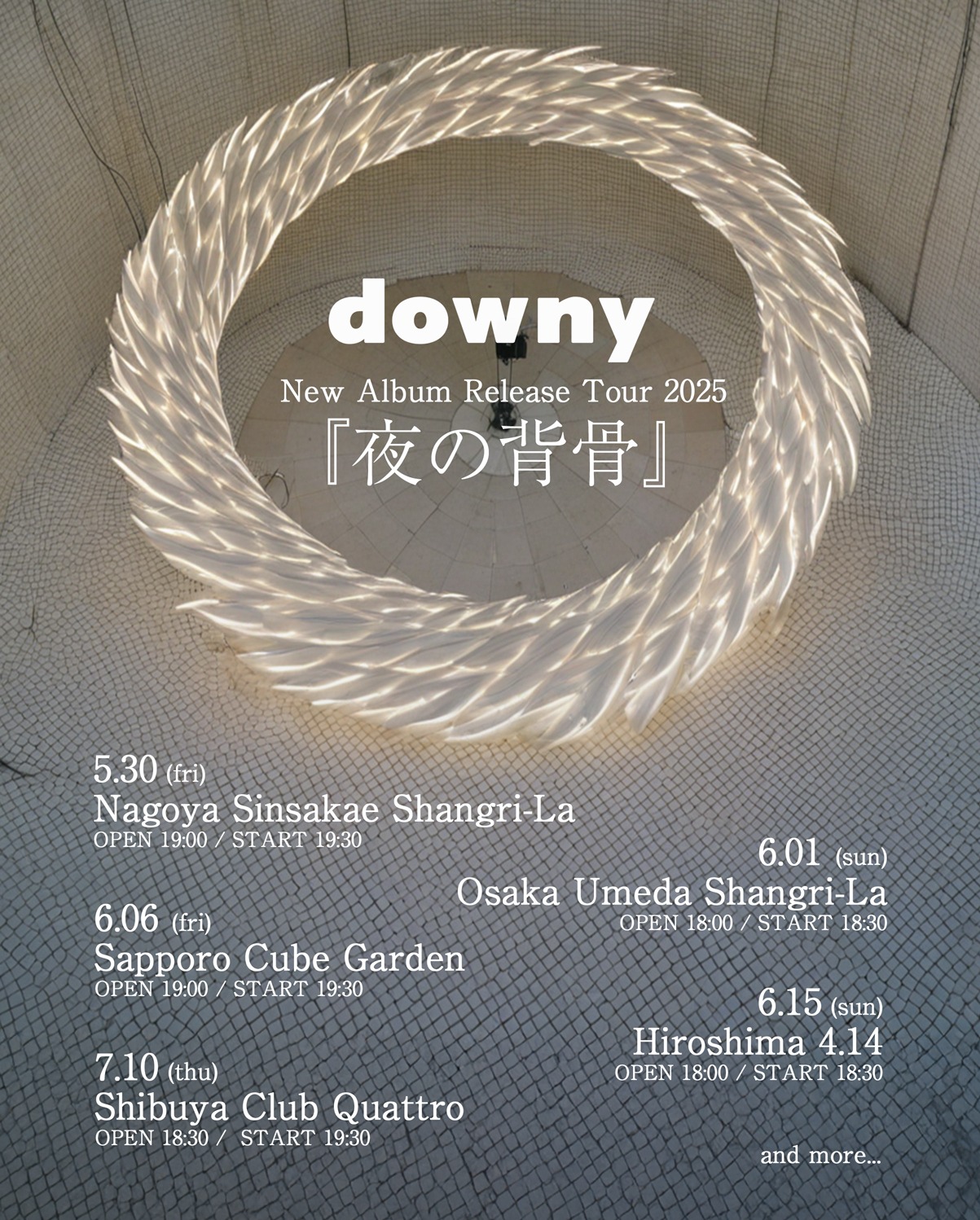 downy「New Album Release Tour 2025『夜の背骨』」フライヤー