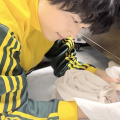 SixTONES松村北斗「嗚呼!!みんなの動物園」で保護猫の人馴れをサポート