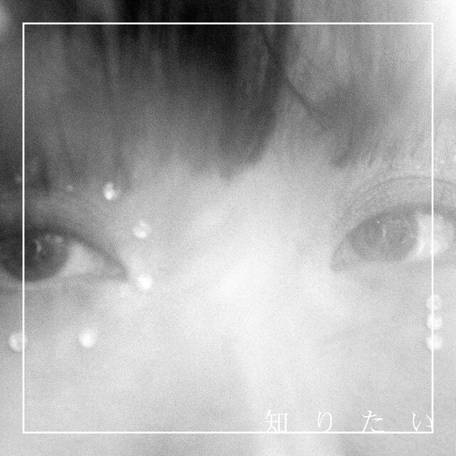 レイラ「知りたい」ジャケット