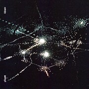 藍坊主「ニューロン」配信ジャケット