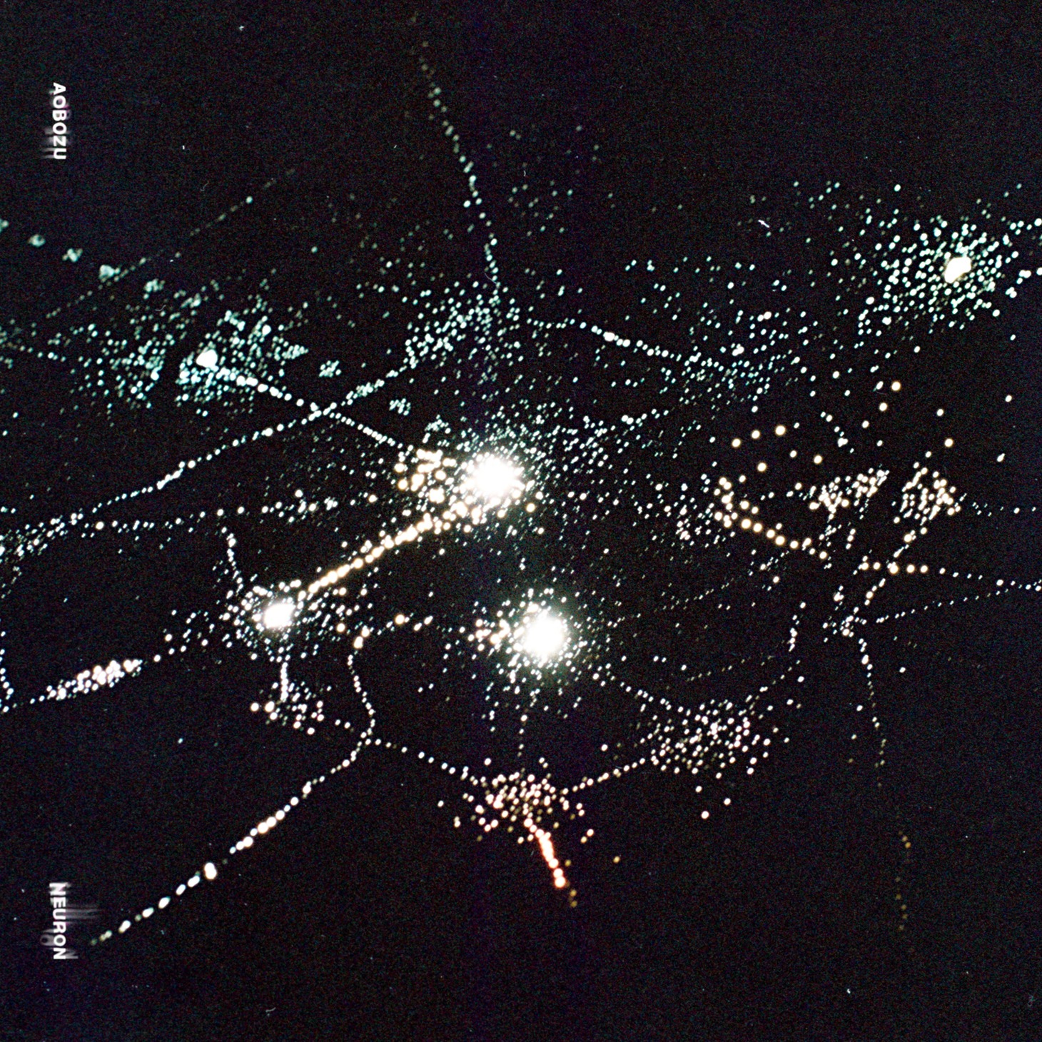 藍坊主「ニューロン」配信ジャケット