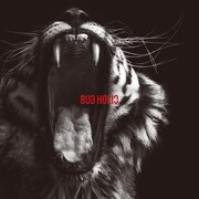 Bug Holic「共感覚」ジャケット