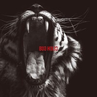 Bug Holic「共感覚」ジャケット