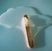 カラノア「ice」ジャケット