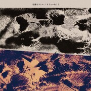 竹原ピストル「すうぉ～む!!」ジャケット