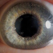 個リン「黄いろ」配信ジャケット