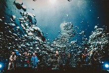 「Fishmans『Uchu Nippon Tokyo』」の様子。（撮影：西槇太一）